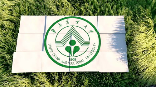 专业制卡 华南农业大学