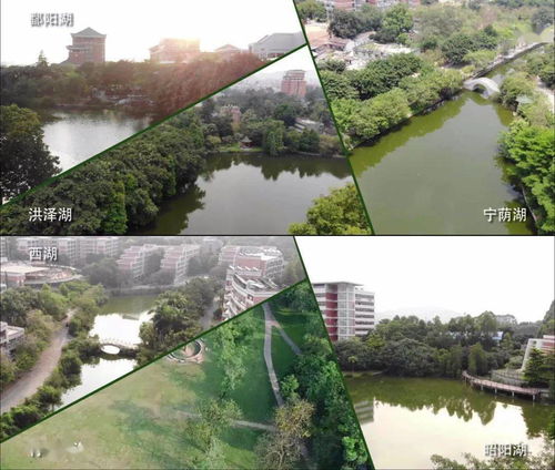 华南农业大学专业土地资源