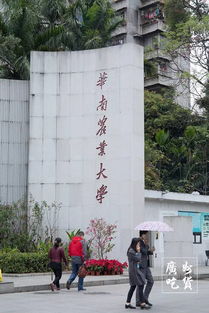 华南农业大学个性广告专业
