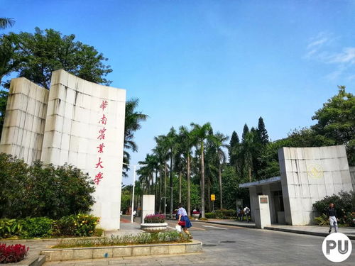 华南农业大学大专本科