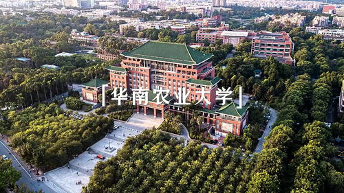 华南农业大学好上岸的专业