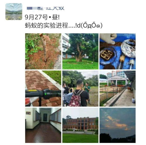 华南农业大学如何查专业