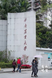 华南农业大学媒体专业